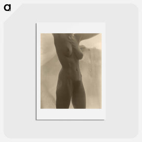 アートポストカード-Georgia O'Keeffe—Torso - アルフレッド スティーグリッツ Postcard.