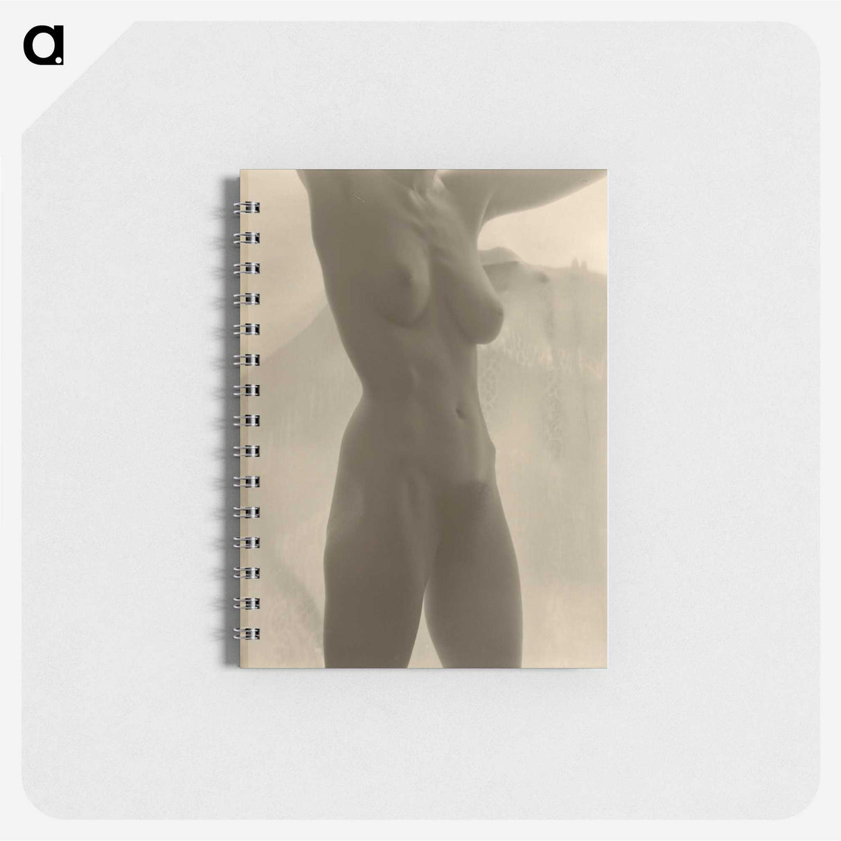 1-17_Alfred-Stieglitz_memo