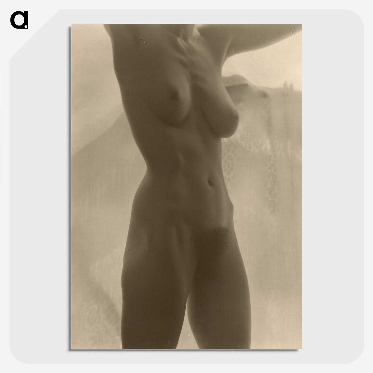 1-17_Alfred-Stieglitz_picture-crop