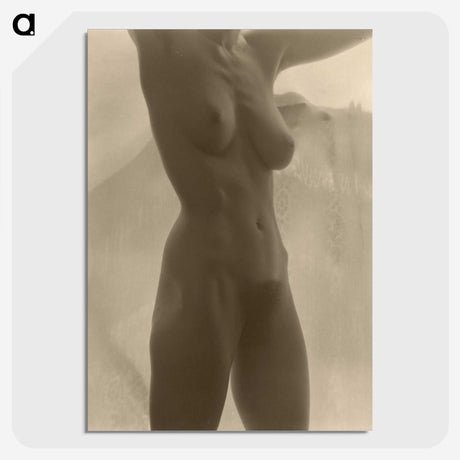 1-17_Alfred-Stieglitz_picture-crop