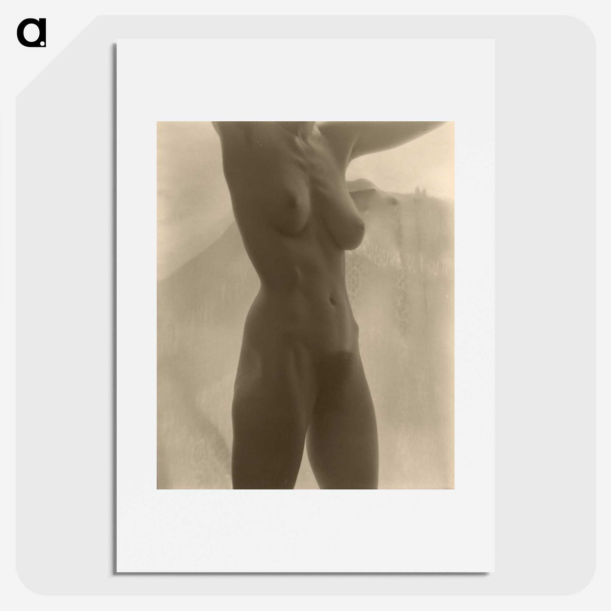 1-17_Alfred-Stieglitz_picture