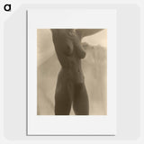 Georgia O'Keeffe—Torso - アルフレッド スティーグリッツ Poster.