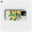 1-17_Anselmus-Boetius-de-Boodt_phone