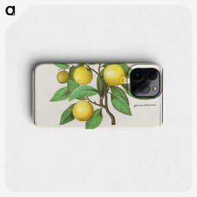 1-17_Anselmus-Boetius-de-Boodt_phone