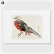 1-17_Bairei-Gakan_picture