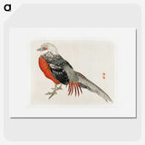 1-17_Bairei-Gakan_picture