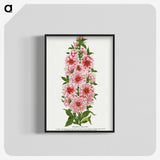1-17_Botanical-Specimen-Plates_blk-crop