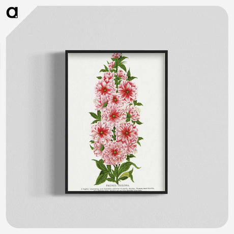 1-17_Botanical-Specimen-Plates_blk-crop
