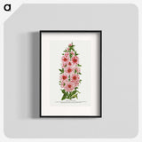1-17_Botanical-Specimen-Plates_blk