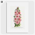 1-17_Botanical-Specimen-Plates_picture