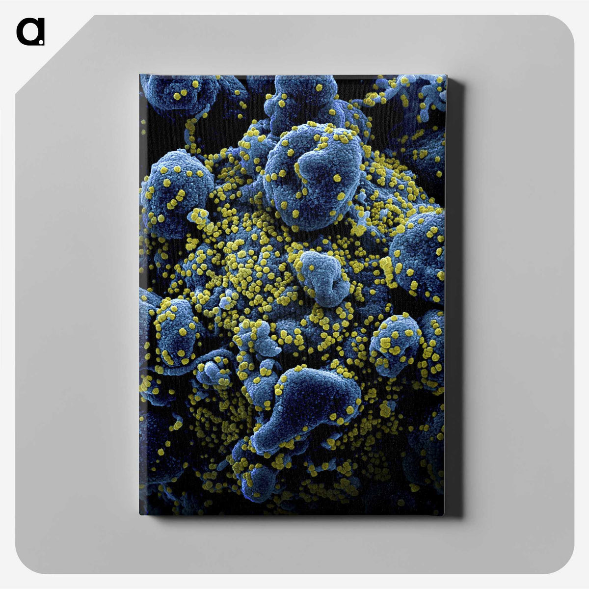1-17_COVID-19_canvas