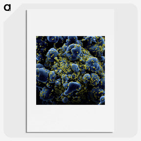 1-17_COVID-19_picture