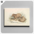 1-17_Charles-Hamilton-Smith_canvas