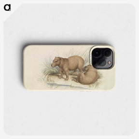 1-17_Charles-Hamilton-Smith_phone