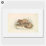 1-17_Charles-Hamilton-Smith_picture