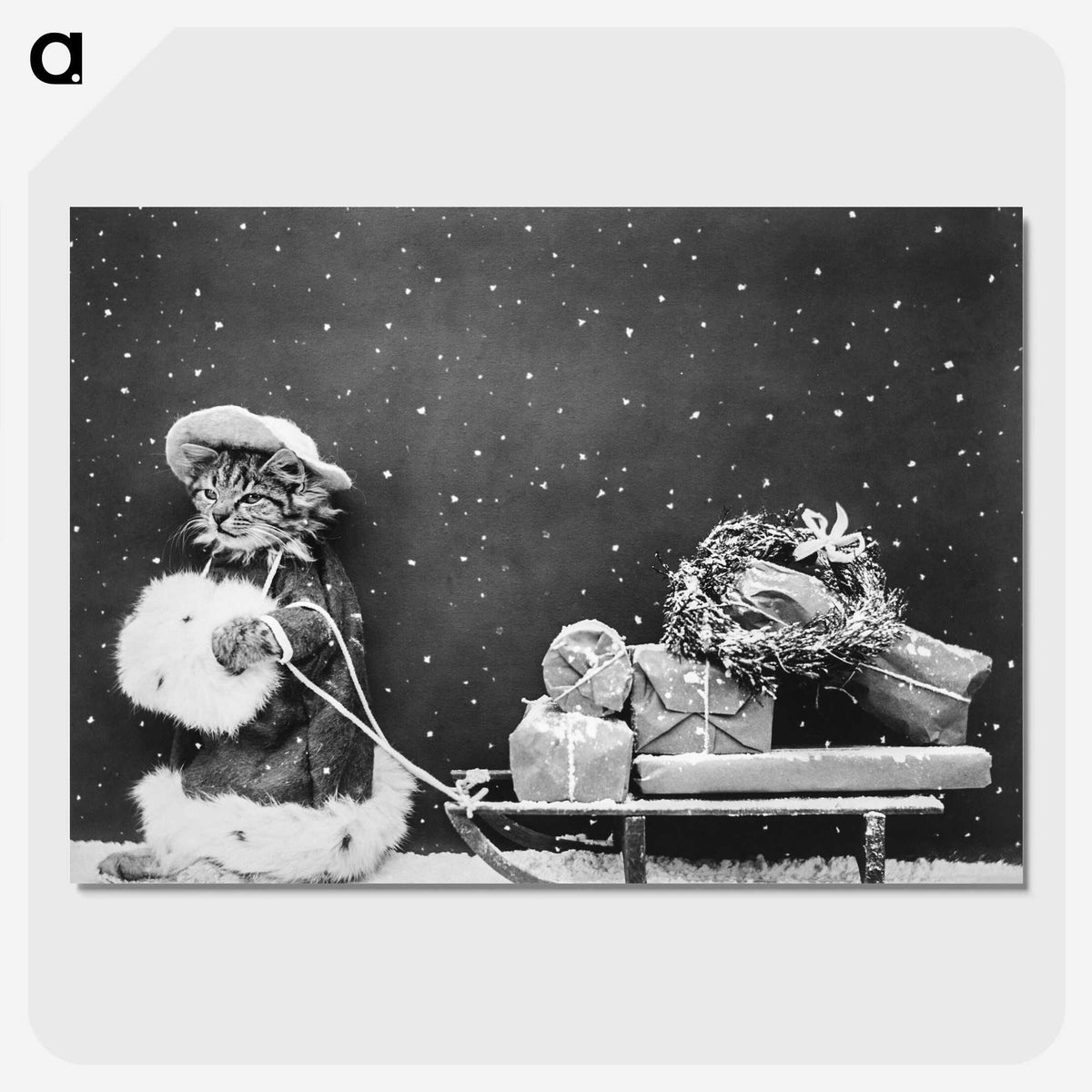 1-17_Christmas_picture-crop