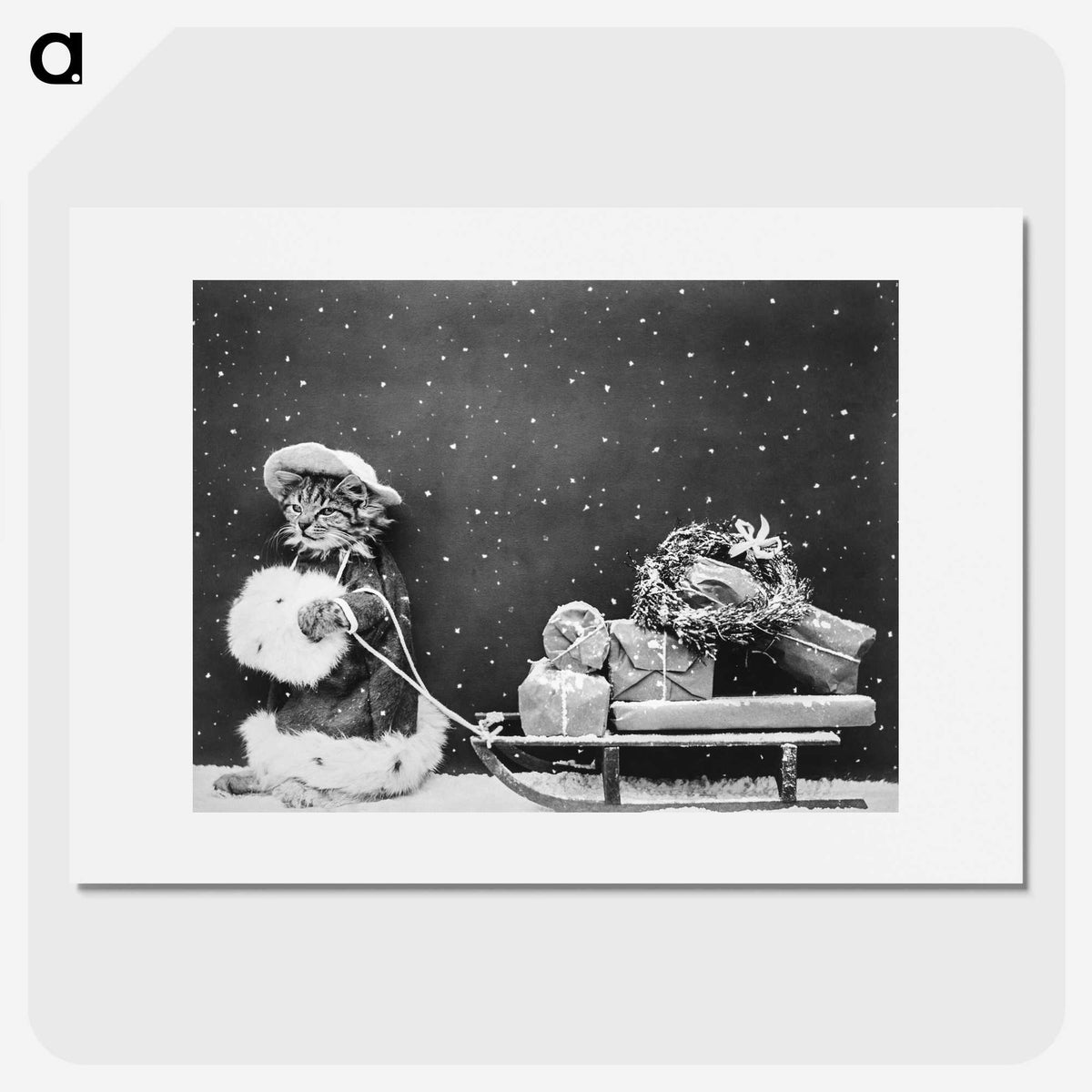 1-17_Christmas_picture