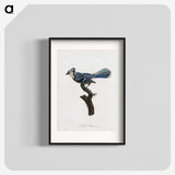 1-17_Des-Oiseaux-de-Paradis_blk