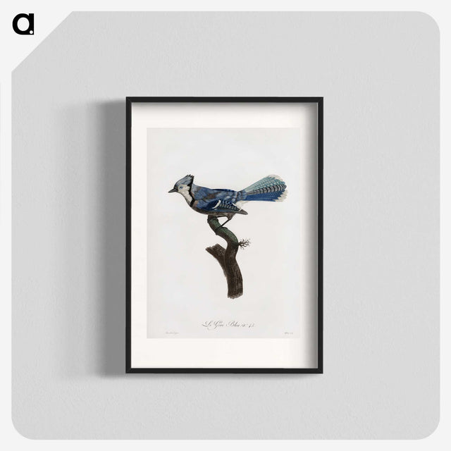 1-17_Des-Oiseaux-de-Paradis_blk