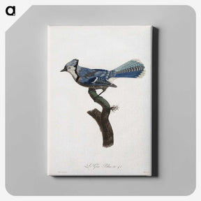 1-17_Des-Oiseaux-de-Paradis_canvas