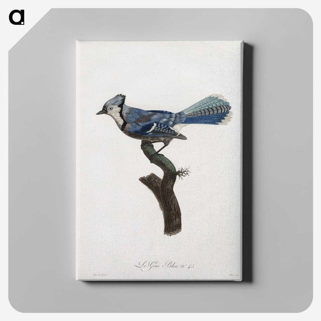 1-17_Des-Oiseaux-de-Paradis_canvas