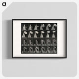 1-17_Eadweard-Muybridge_blk