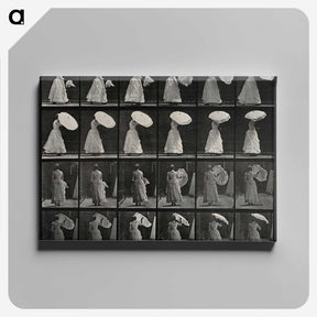 1-17_Eadweard-Muybridge_canvas