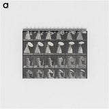 1-17_Eadweard-Muybridge_memo