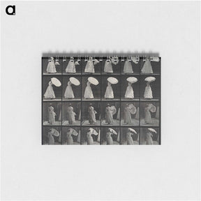 1-17_Eadweard-Muybridge_memo