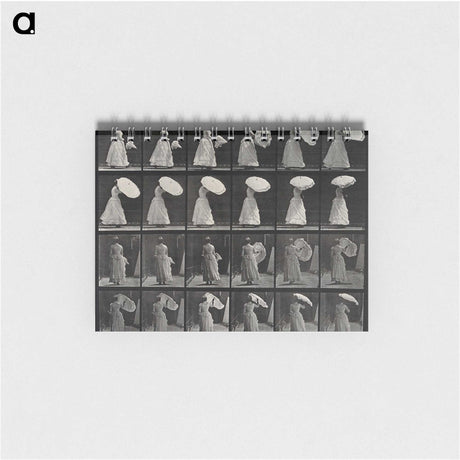 1-17_Eadweard-Muybridge_memo