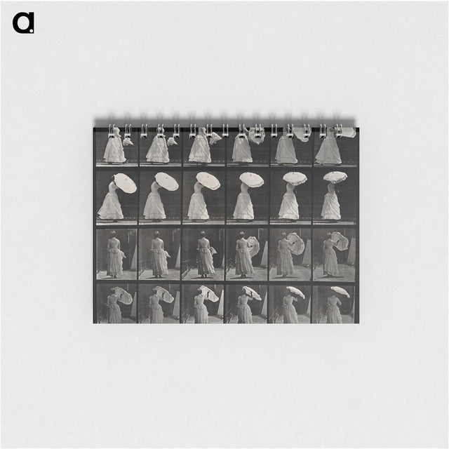 1-17_Eadweard-Muybridge_memo