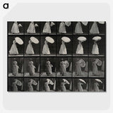 1-17_Eadweard-Muybridge_picture-crop