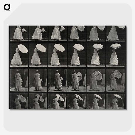 1-17_Eadweard-Muybridge_picture-crop