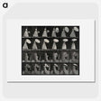 1-17_Eadweard-Muybridge_picture