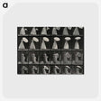 1-17_Eadweard-Muybridge_postcard