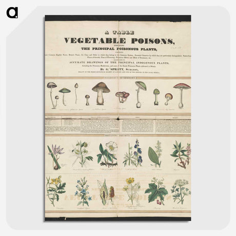 1-17_Education-Charts_picture-crop