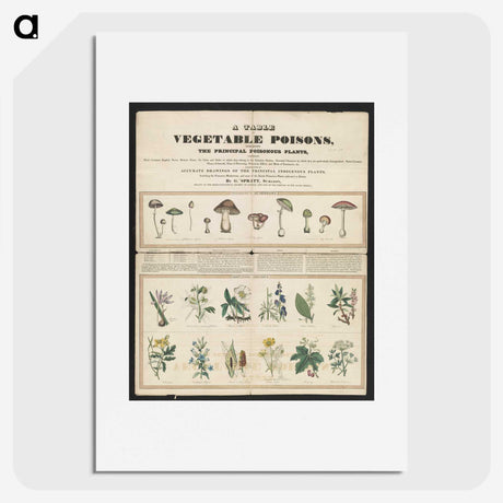 1-17_Education-Charts_picture