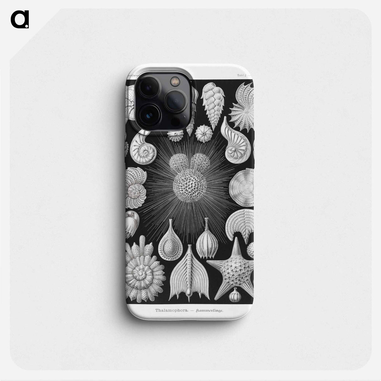 Thalamophora–Kammerlinge from Kunstformen der Natur - エルンスト ヘッケル Phone Case.