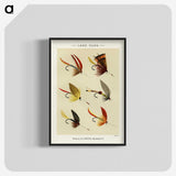 1-17_Favorite-Flies-and-Their-History_blk-crop