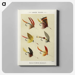 1-17_Favorite-Flies-and-Their-History_canvas