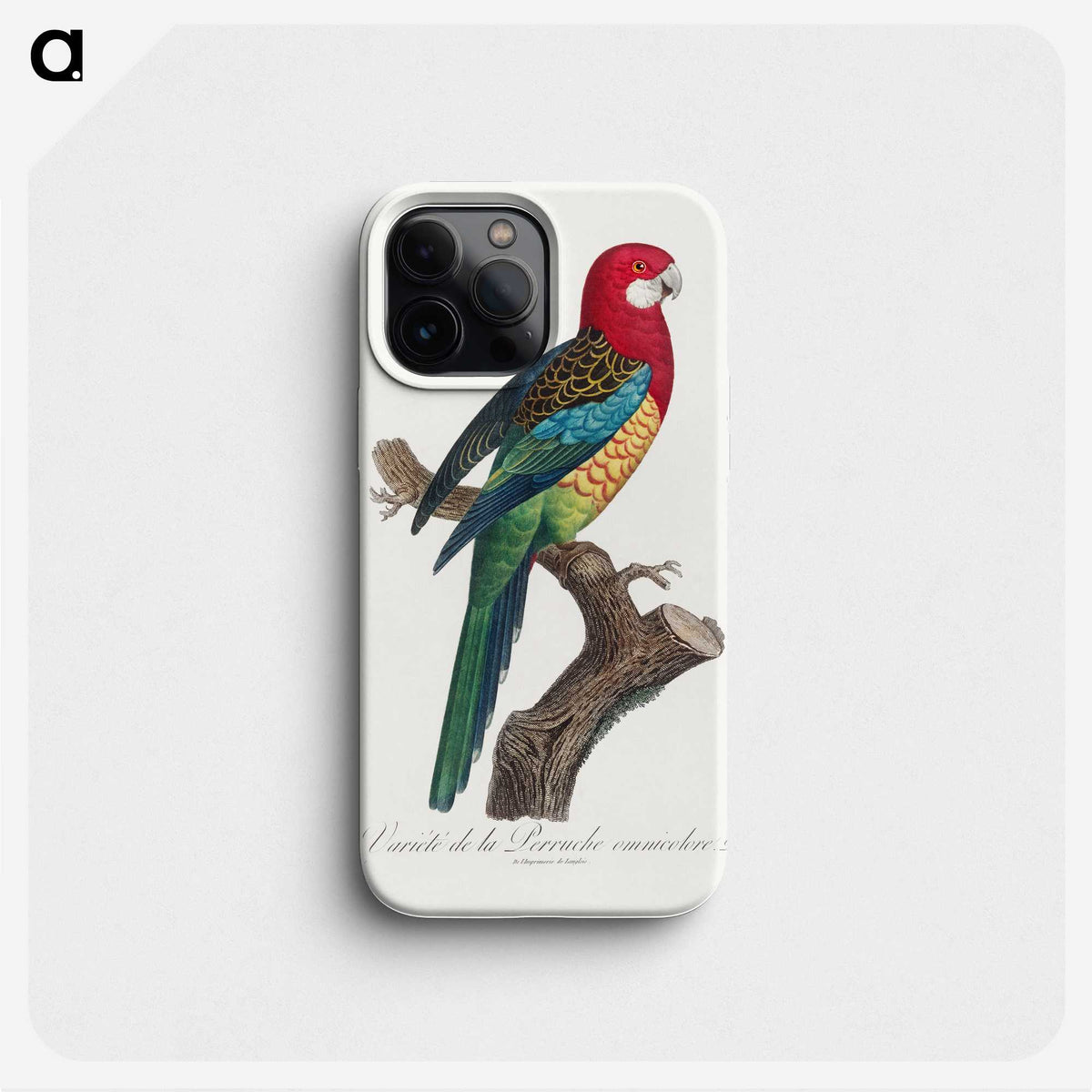 1-17_Francois-Levaillant_phone