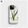 1-17_Georg-Dionysius-Ehret_phone