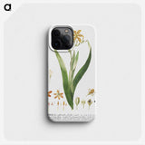 1-17_Georg-Dionysius-Ehret_phone