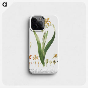 1-17_Georg-Dionysius-Ehret_phone