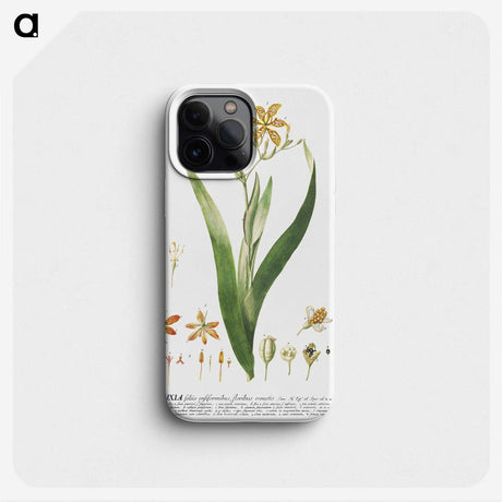 1-17_Georg-Dionysius-Ehret_phone