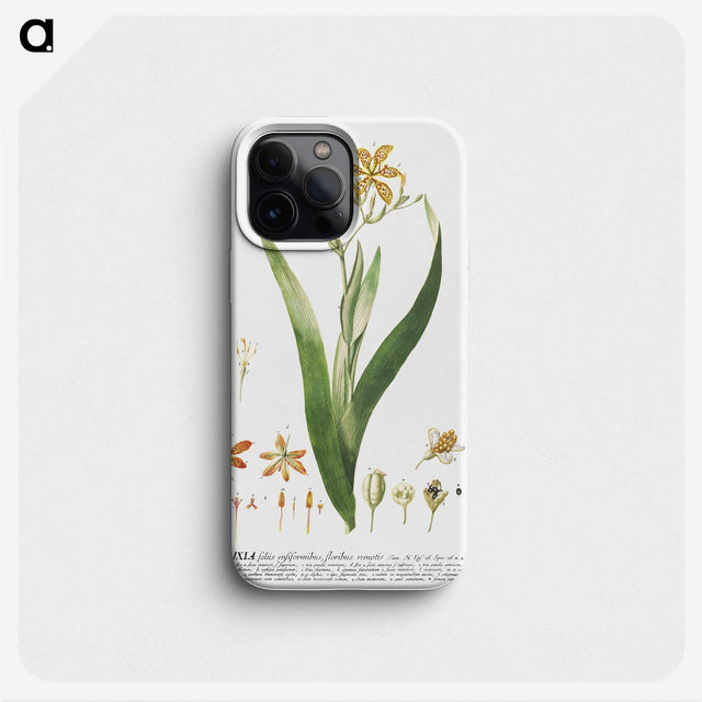 1-17_Georg-Dionysius-Ehret_phone