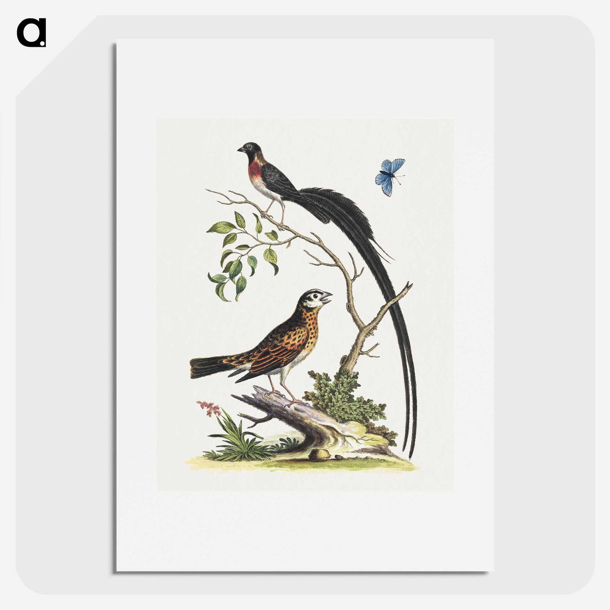 1-17_George-Edwards_picture