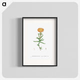 1-17_Histoire-des-Plantes-Grasses_blk