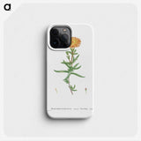 1-17_Histoire-des-Plantes-Grasses_phone
