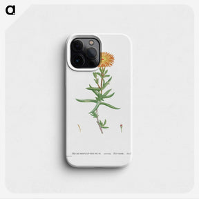 1-17_Histoire-des-Plantes-Grasses_phone